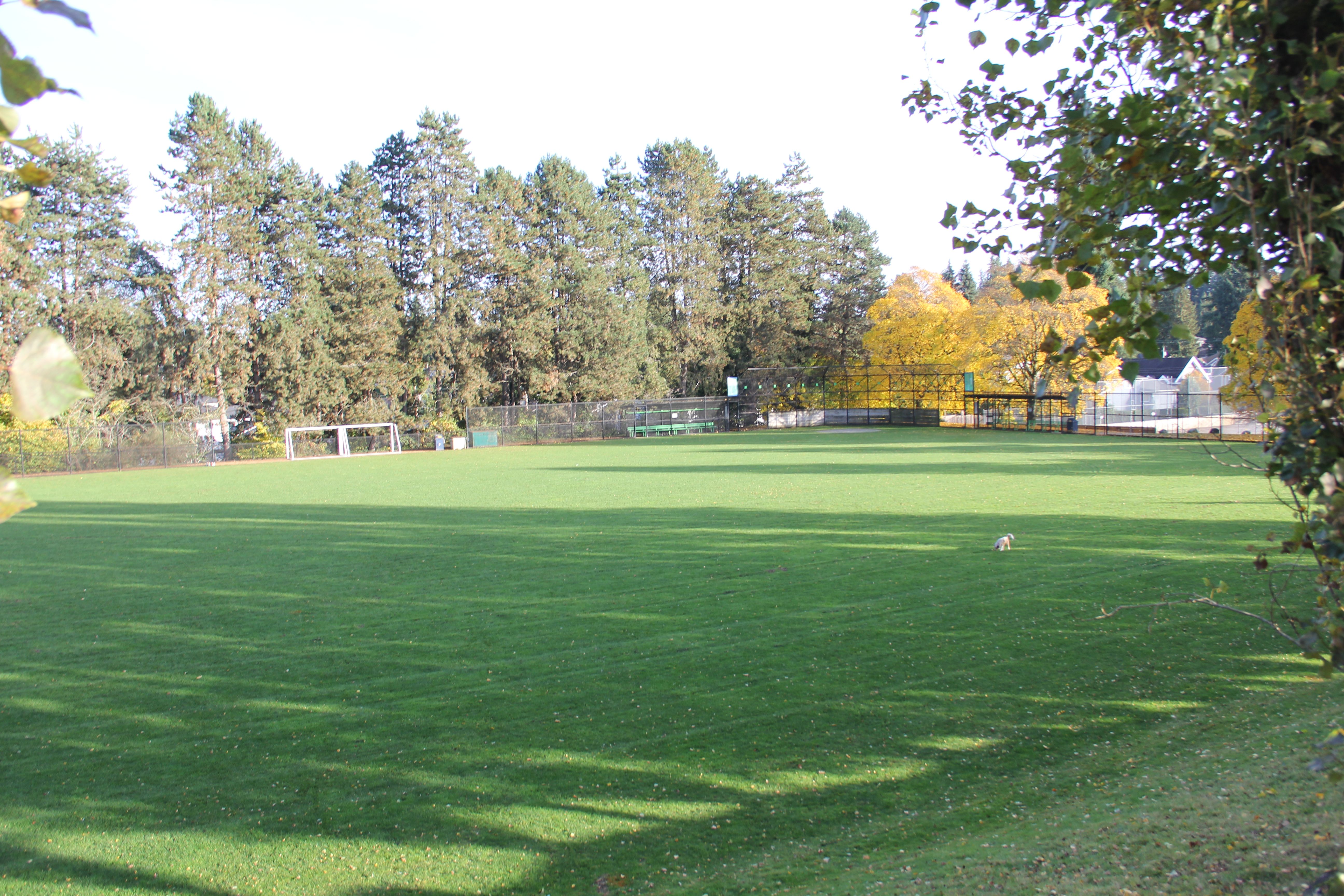 Large Furnished Room 4 for 2 People in Coquitlam near SkyTrain